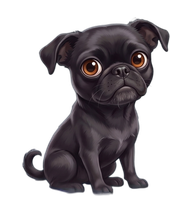 Trixie, a black Chug with amber eyes, resting