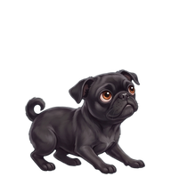 Trixie, a black Chug with amber eyes, celebrating